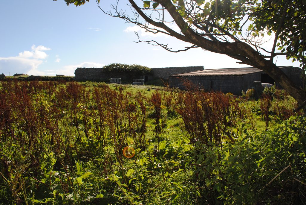 Old Orchard Courtyard